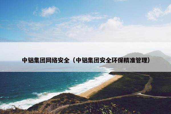 中铝集团网络安全（中铝集团安全环保精准管理）