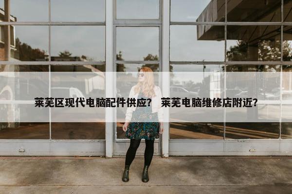 莱芜区现代电脑配件供应？ 莱芜电脑维修店附近？