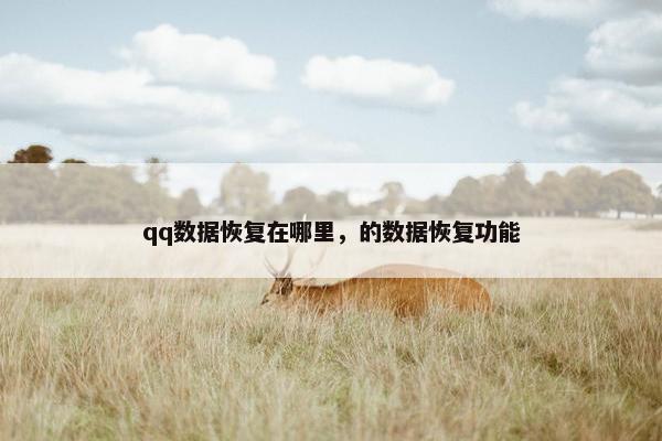 qq数据恢复在哪里，的数据恢复功能