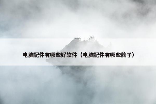 电脑配件有哪些好软件（电脑配件有哪些牌子）