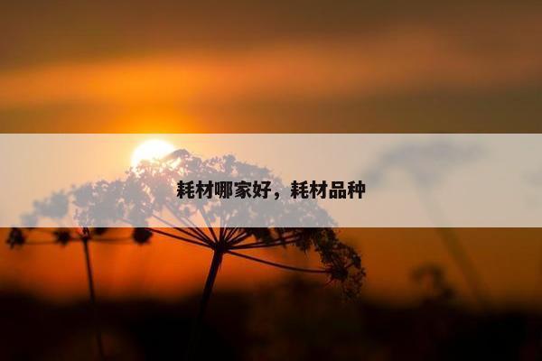 耗材哪家好，耗材品种