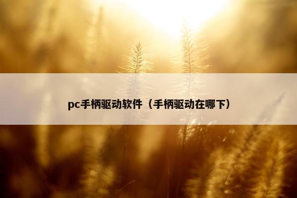 pc手柄驱动软件（手柄驱动在哪下）