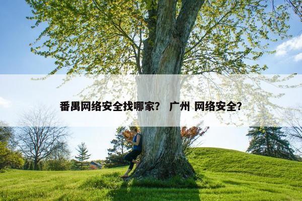 番禺网络安全找哪家？ 广州 网络安全？