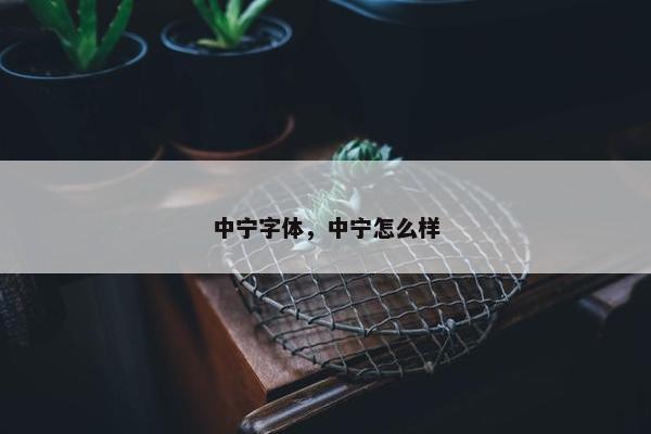 中宁字体，中宁怎么样