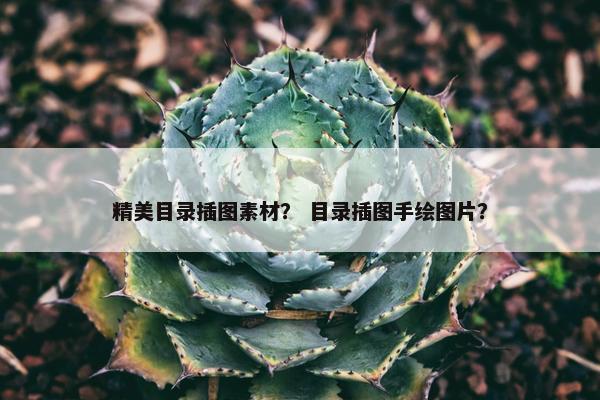 精美目录插图素材？ 目录插图手绘图片？