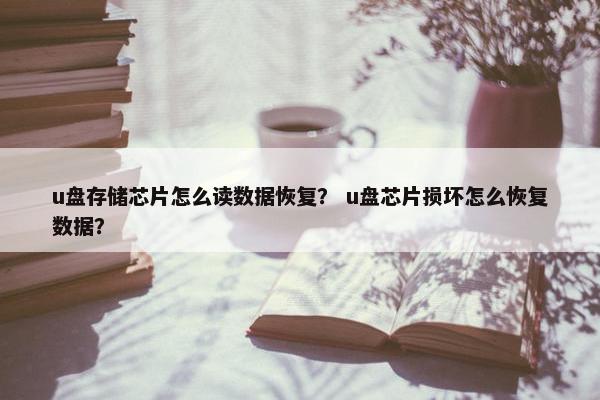 u盘存储芯片怎么读数据恢复？ u盘芯片损坏怎么恢复数据？