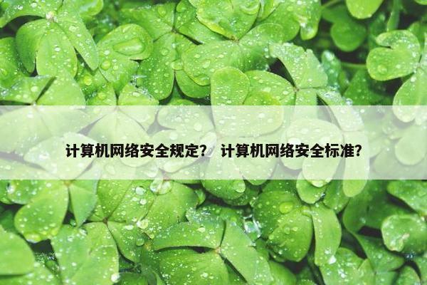计算机网络安全规定？ 计算机网络安全标准？