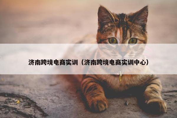济南跨境电商实训（济南跨境电商实训中心）