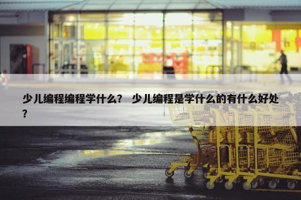 少儿编程编程学什么？ 少儿编程是学什么的有什么好处？