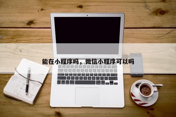 能在小程序吗，微信小程序可以吗