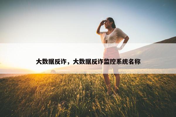 大数据反诈，大数据反诈监控系统名称