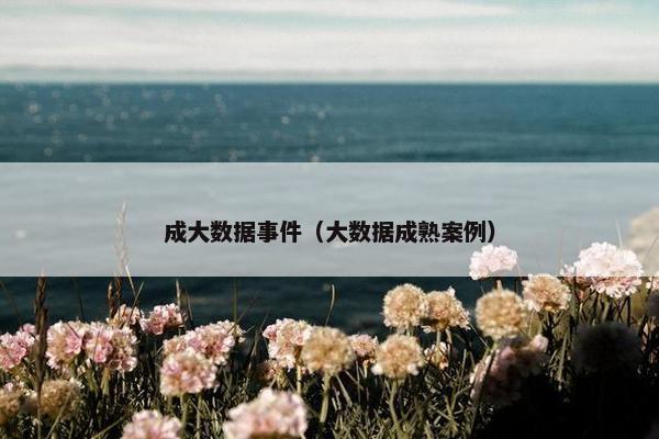 成大数据事件（大数据成熟案例）