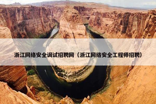 浙江网络安全调试招聘网（浙江网络安全工程师招聘）