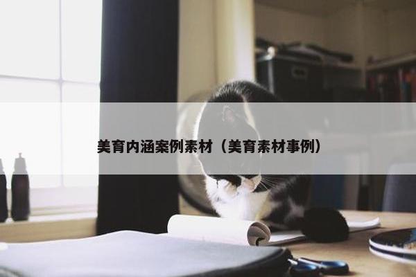 美育内涵案例素材（美育素材事例）