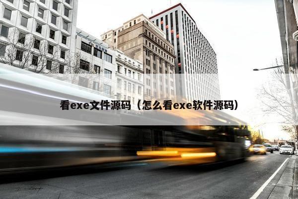 看exe文件源码（怎么看exe软件源码）