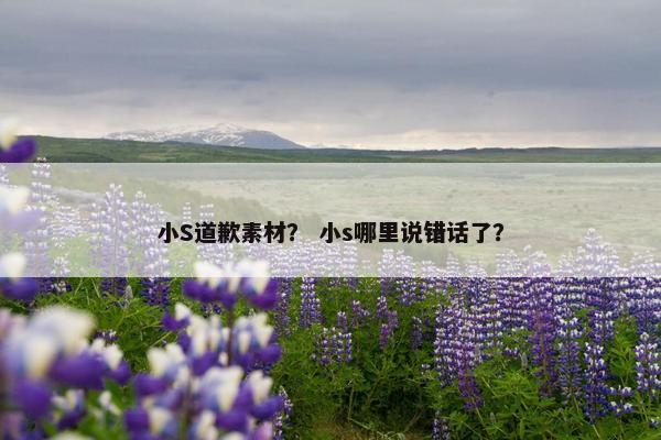 小S道歉素材？ 小s哪里说错话了？
