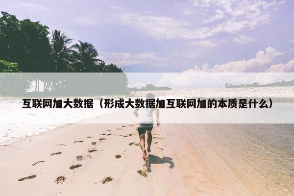 互联网加大数据（形成大数据加互联网加的本质是什么）