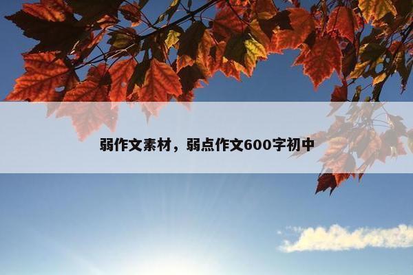 弱作文素材，弱点作文600字初中