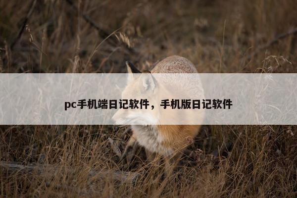 pc手机端日记软件，手机版日记软件