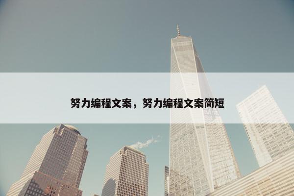 努力编程文案，努力编程文案简短