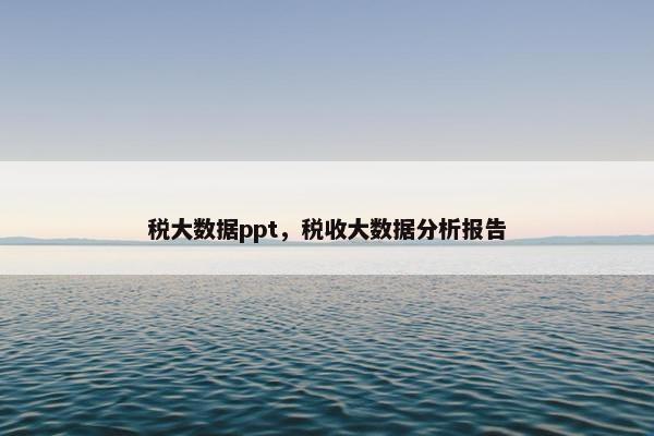 税大数据ppt，税收大数据分析报告