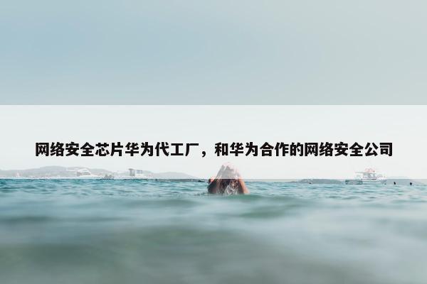 网络安全芯片华为代工厂，和华为合作的网络安全公司