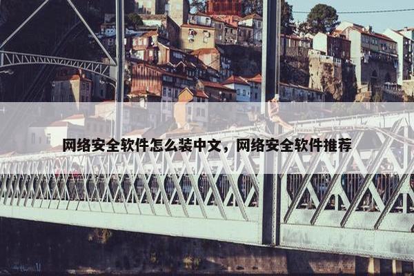 网络安全软件怎么装中文，网络安全软件推荐