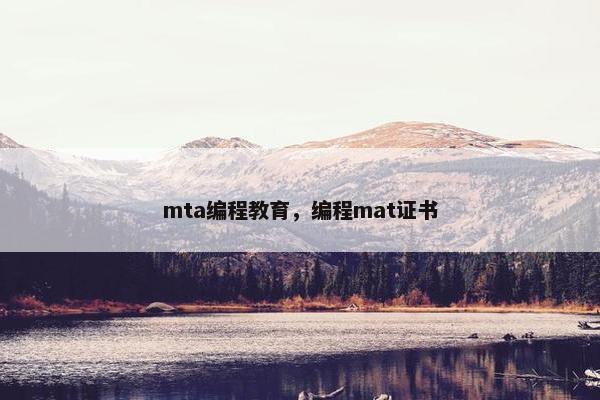 mta编程教育，编程mat证书