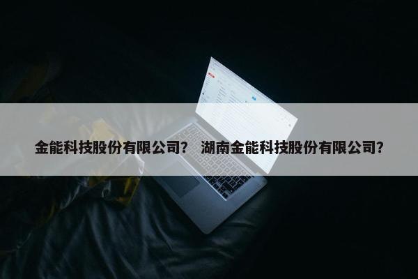 金能科技股份有限公司？ 湖南金能科技股份有限公司？