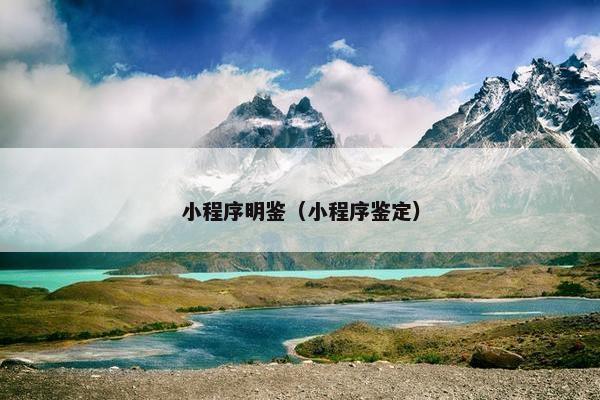 小程序明鉴（小程序鉴定）