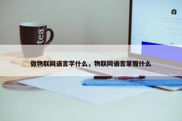 做物联网语言学什么，物联网语言掌握什么