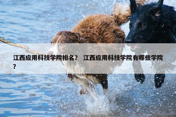 江西应用科技学院排名？ 江西应用科技学院有哪些学院？
