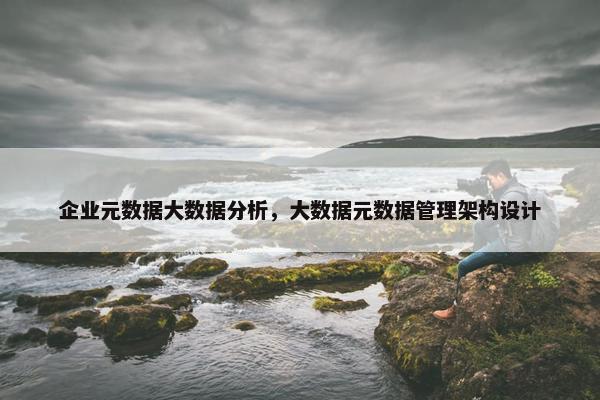 企业元数据大数据分析，大数据元数据管理架构设计