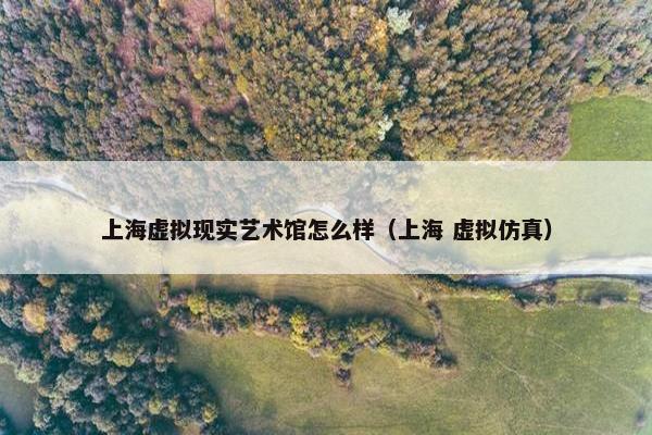 上海虚拟现实艺术馆怎么样（上海 虚拟仿真）