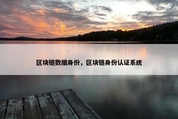 区块链数据身份，区块链身份认证系统