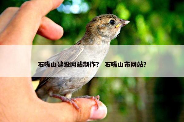 石嘴山建设网站制作？ 石嘴山市网站？