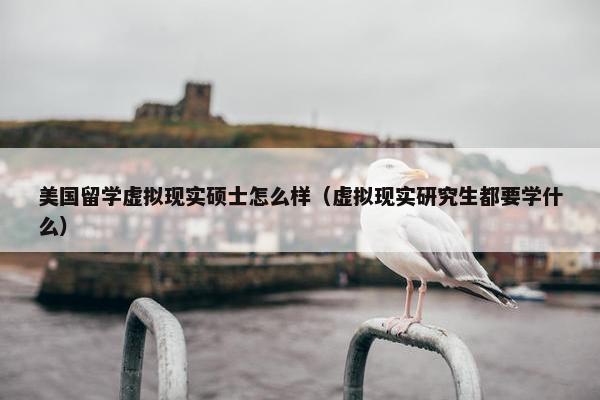 美国留学虚拟现实硕士怎么样（虚拟现实研究生都要学什么）