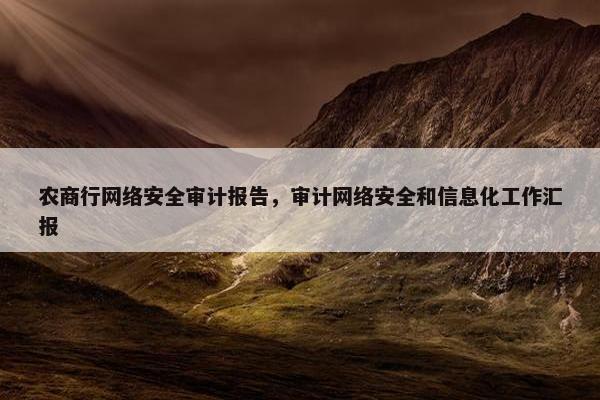 农商行网络安全审计报告，审计网络安全和信息化工作汇报