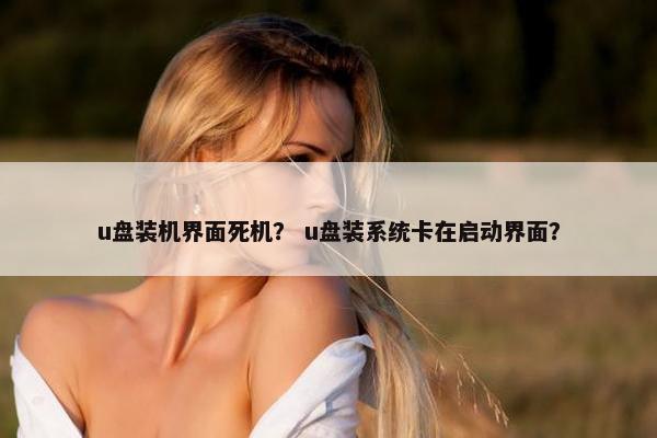 u盘装机界面死机？ u盘装系统卡在启动界面？