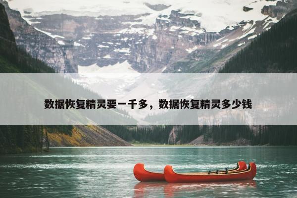 数据恢复精灵要一千多，数据恢复精灵多少钱