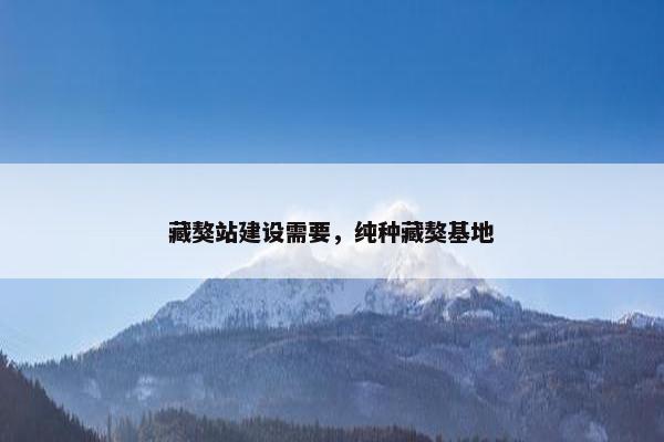 藏獒站建设需要，纯种藏獒基地