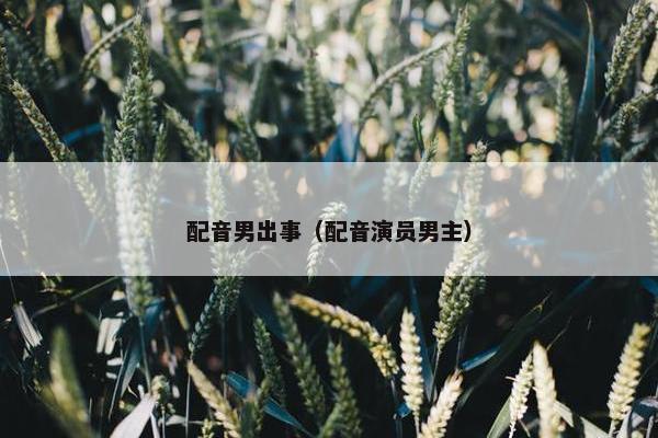 配音男出事（配音演员男主）