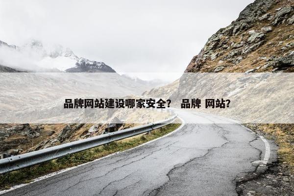 品牌网站建设哪家安全？ 品牌 网站？