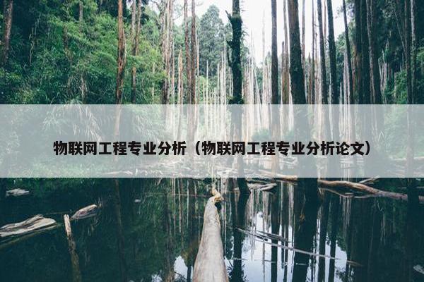 物联网工程专业分析（物联网工程专业分析论文）