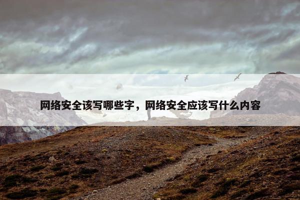 网络安全该写哪些字，网络安全应该写什么内容