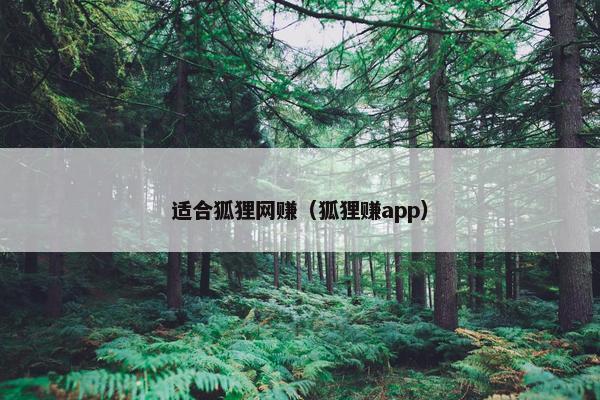 适合狐狸网赚（狐狸赚app）