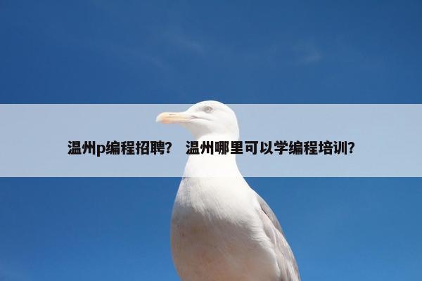 温州p编程招聘？ 温州哪里可以学编程培训？