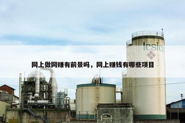 网上做网赚有前景吗，网上赚钱有哪些项目