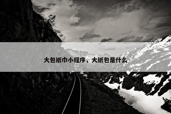 大包纸巾小程序，大纸包是什么