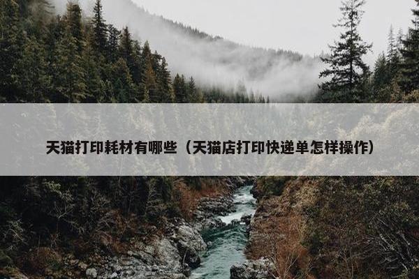 天猫打印耗材有哪些（天猫店打印快递单怎样操作）
